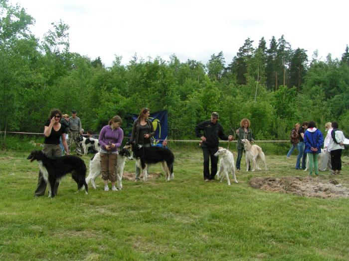  9 выставка БиК 4-5июня 2011г. город Москва