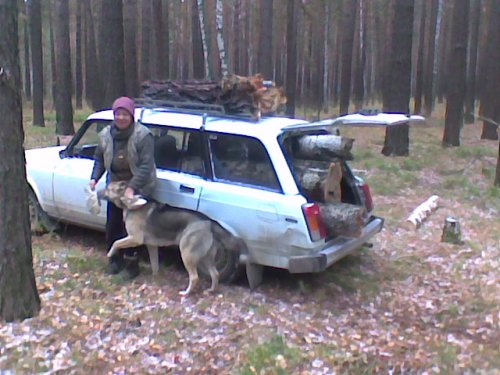 Природа, природой...,а