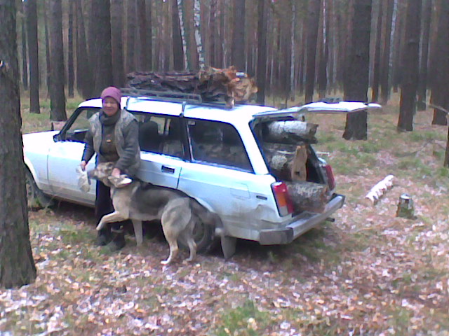 Природа, природой...,а