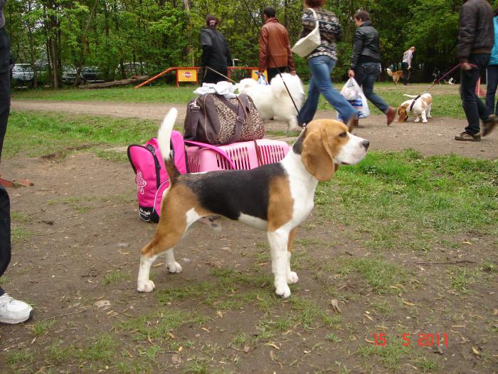 В Сокольниках