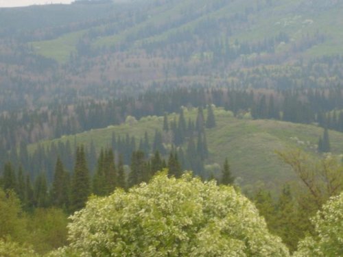 Недалеко от Змеиногорска
