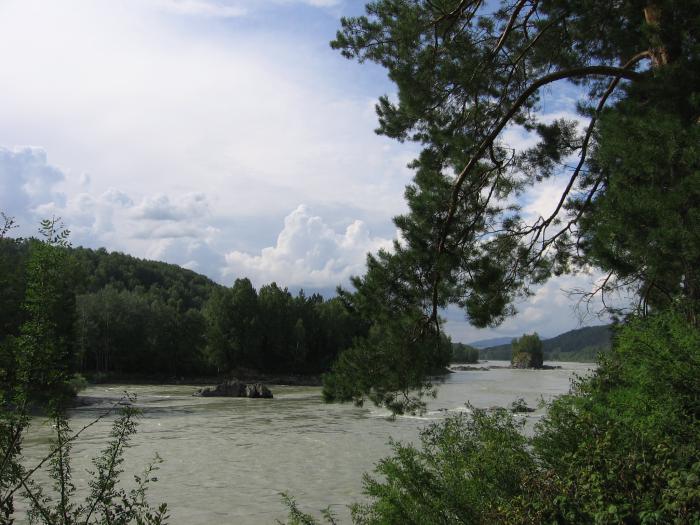 Катунь