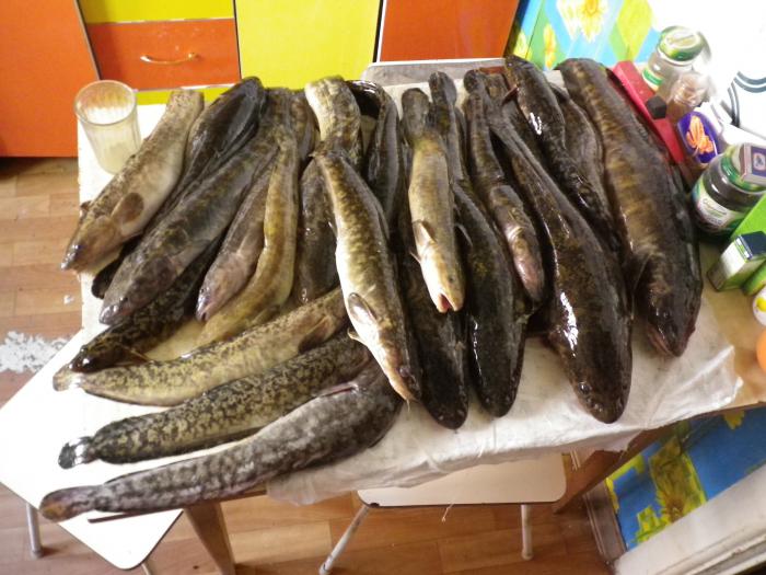 рыбалка