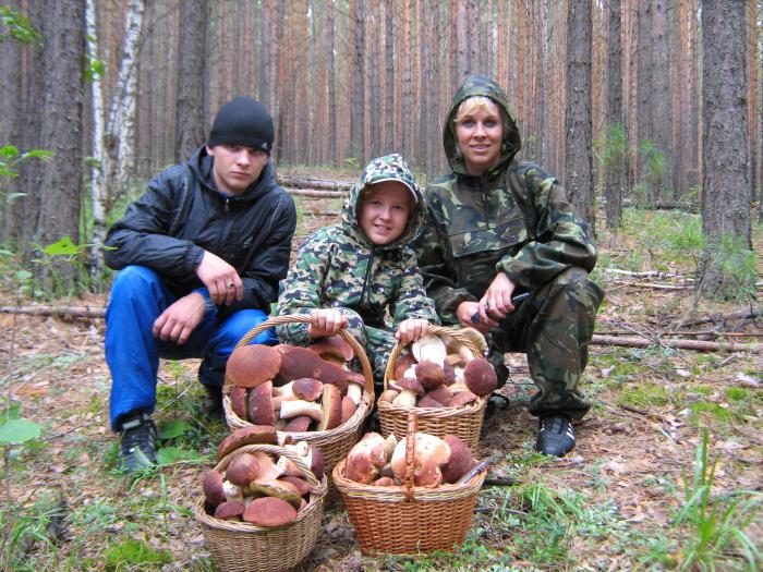 Тихая охота.