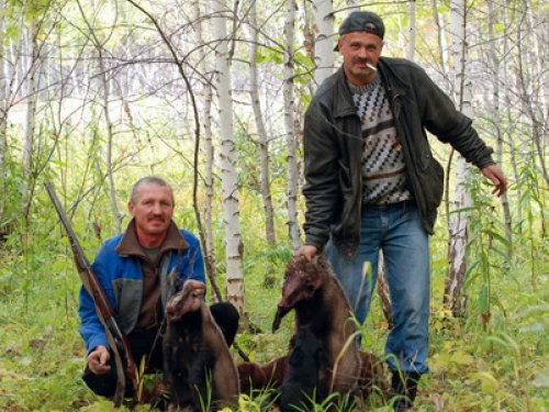 Пара с одной норы, осень 2008