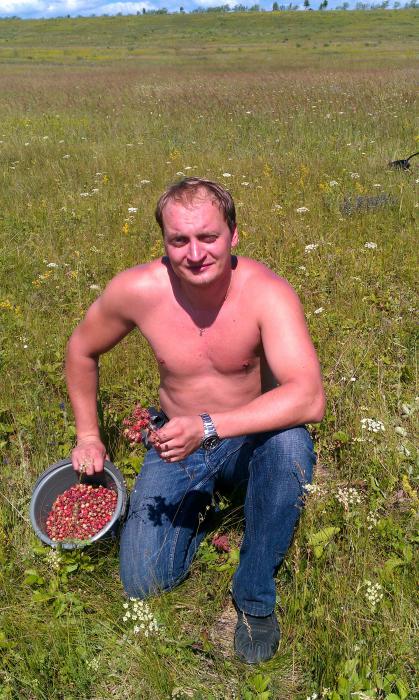 вот не люблю собирать, а варенье вкусное