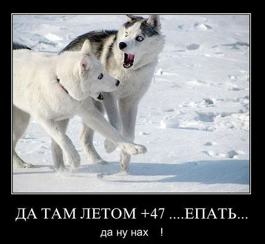 Мы правильно бежим?