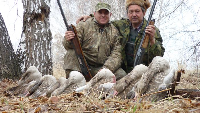 Весенняя охота. Весенняя охота на гуся 2021. Какого числа открытие охоты в алтайском крае. Охота на водоплавающую дичь 2022. День охотника сангар.