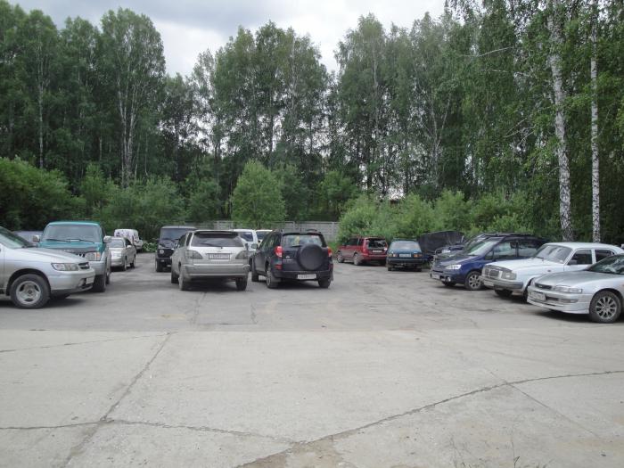 И все эти машины были обклеены логотипом нашего сайта