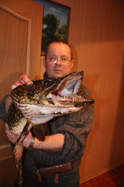 она же..но с пастью :)