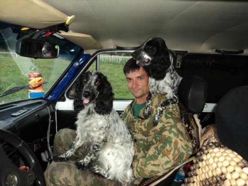 Открытие охоты с собакой в ТО 2011