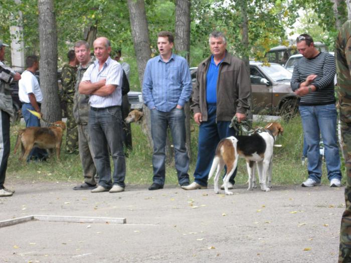 Змеиногорская выводка 20.08.2011г.        РПГ,  слева - РГ