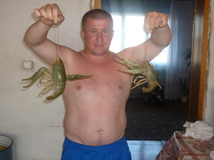 Незнаю у кого как, а у Нас это крупные!