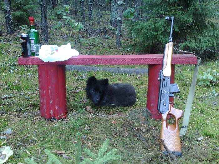 перекур