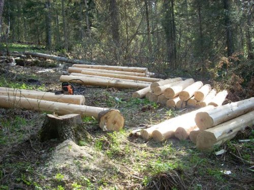 заготовка леса на новую избу!