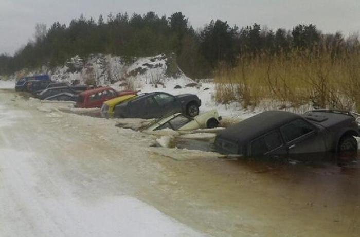 фото с нета 