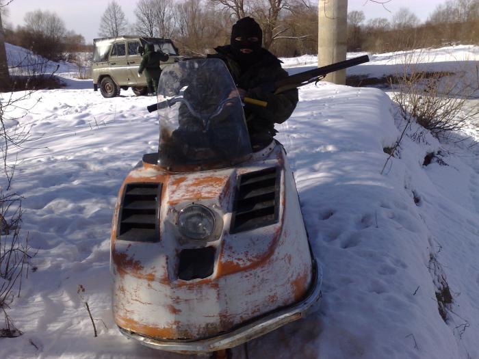 моя старушка