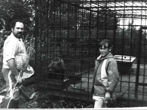 В Фирсовском охотхозяйстве. Перед испытаниями норных знакомство с медвежонком. 1989 - 1990г