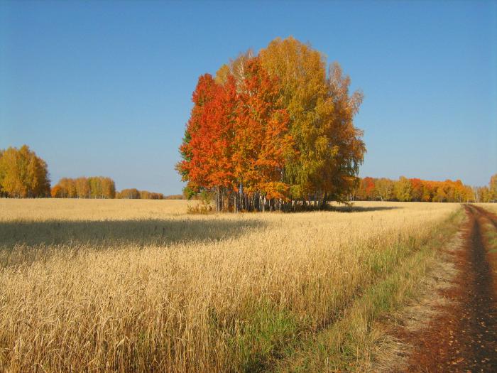 *Краски*