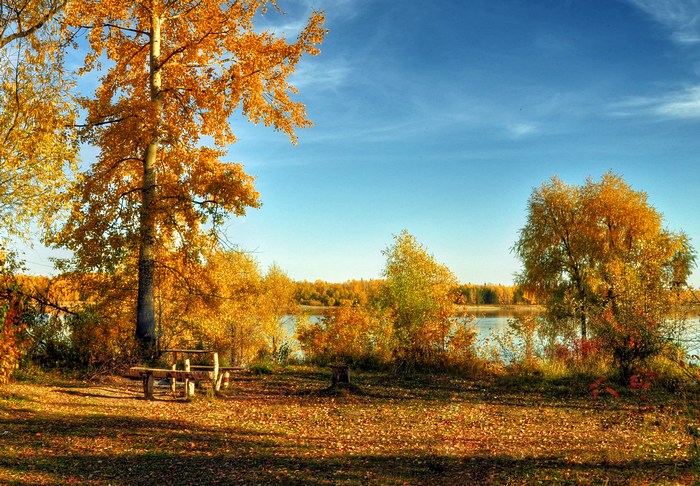 Золотая осень.