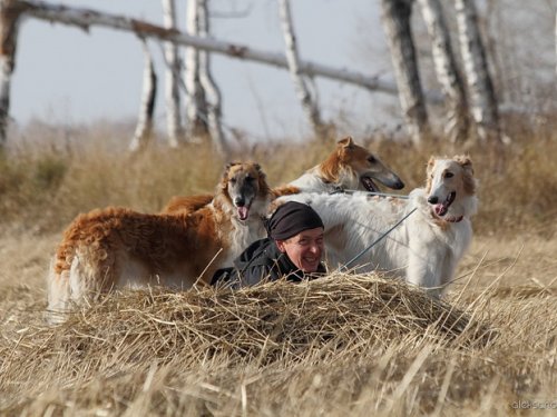 Засада)))