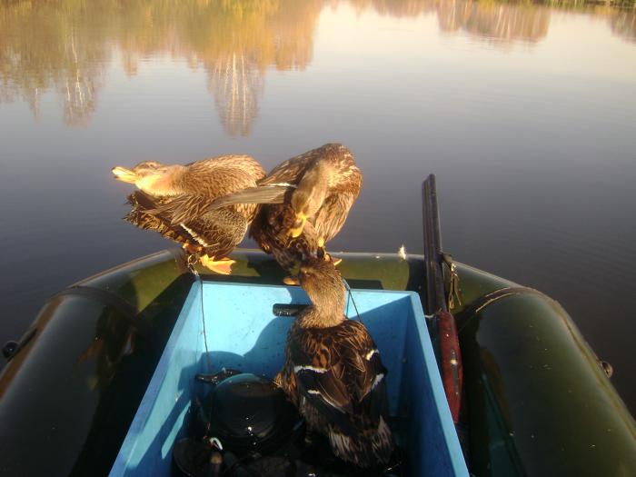 Подруга позируй,нас снимают.
