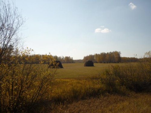 Осень, всегда хороша.