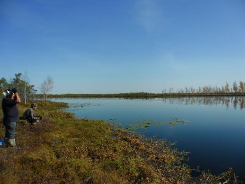 озеро в сибирских болотах