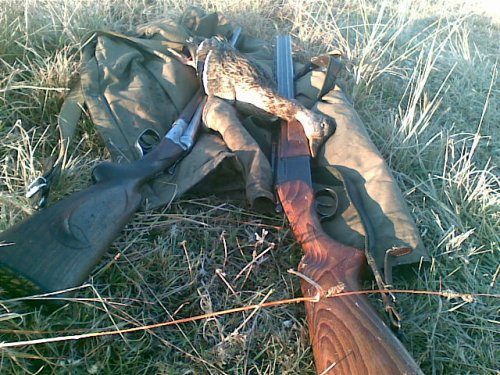 одна на двоих