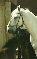 Катя.