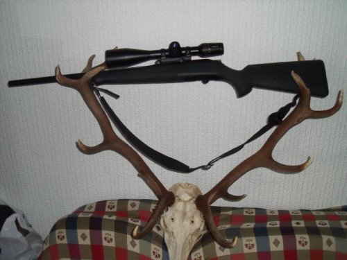 blaser r8 270wsm