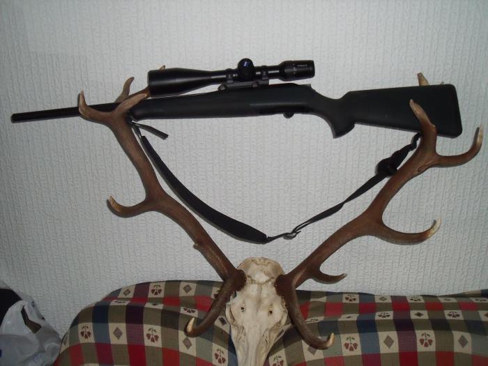 blaser r8 270wsm