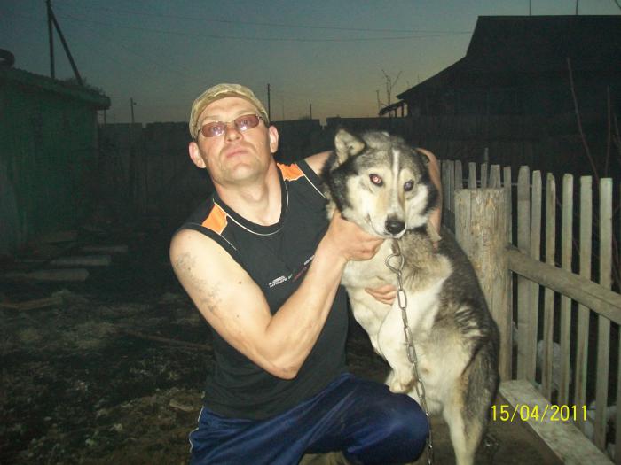 бим