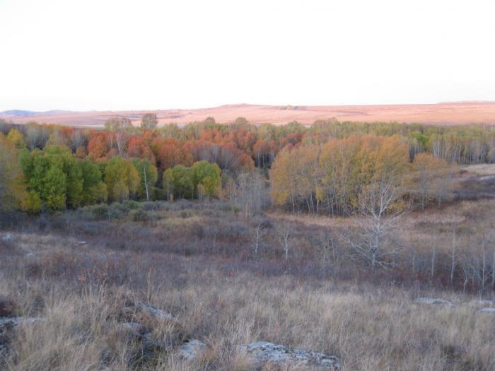 Осеннее настроение