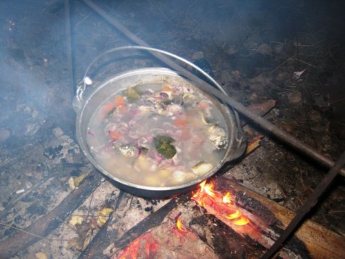 Дичи нет - варим уху )))