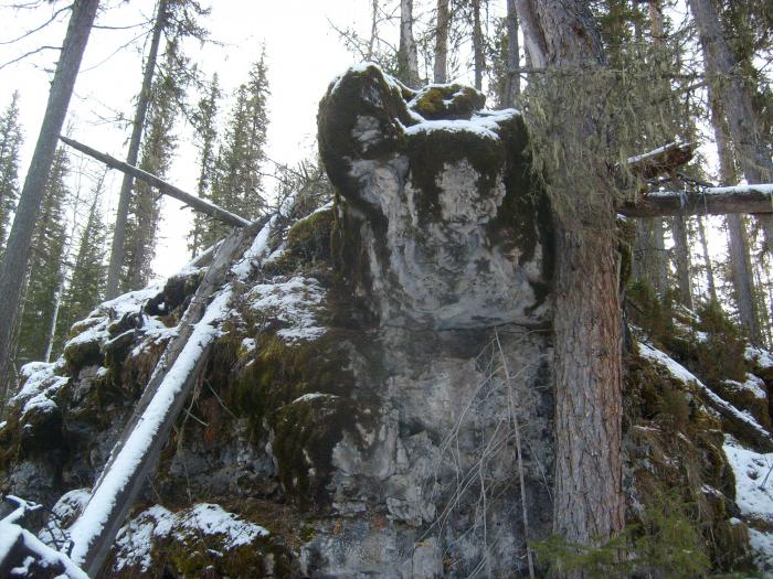 Каменная черепаха.