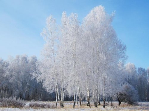 В хрустальном наряде.