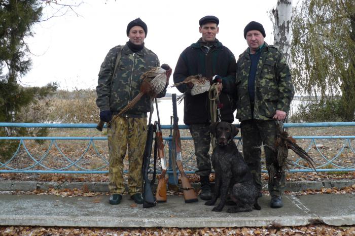   Охота на фазана в Донецкой области.