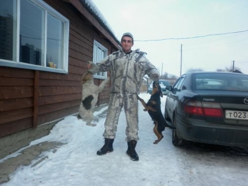 Теръеры веселятся.