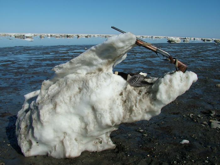 весна 2010, база Голубница