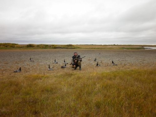 Охота на гусей, Голубница, сентябрь 2011