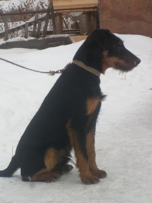 Красавчик!
