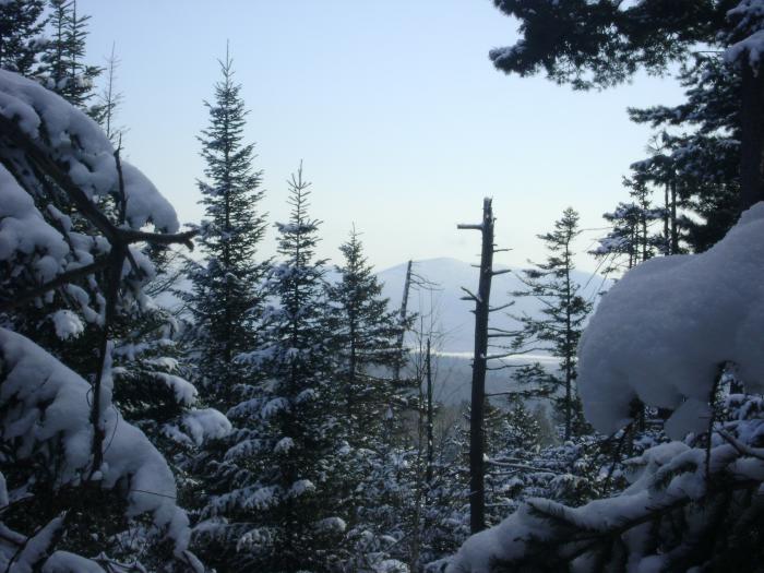 У высоких барегов Амура
