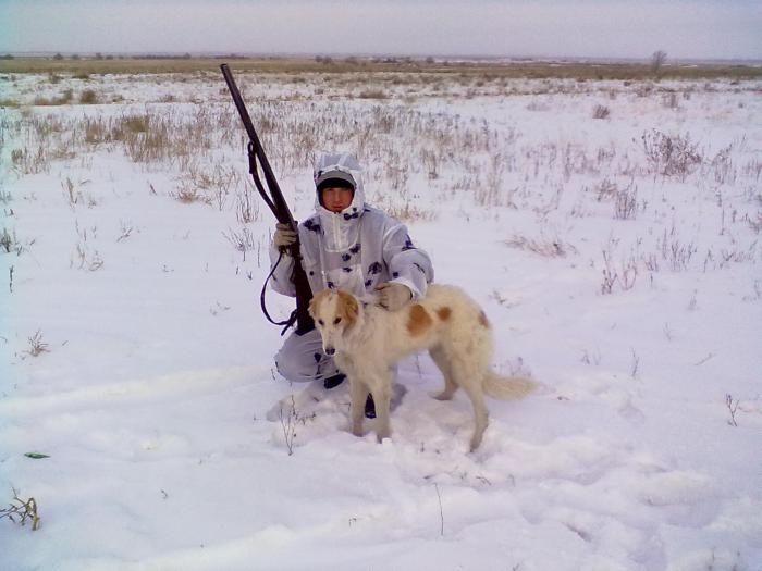 Охота началась