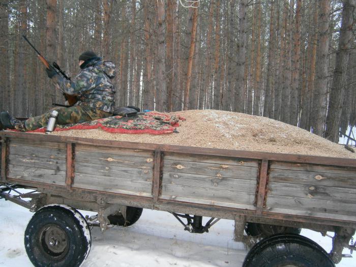Приятное с полезным совмещаем