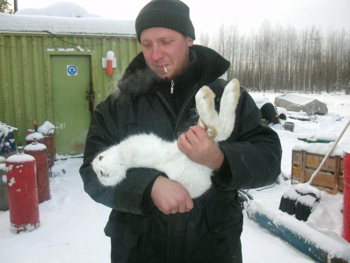хороший с этимже зайцем.