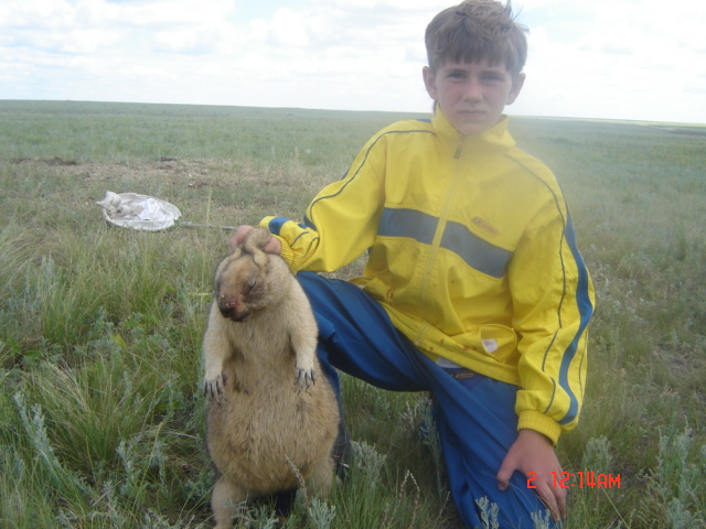 сын ещё через год
