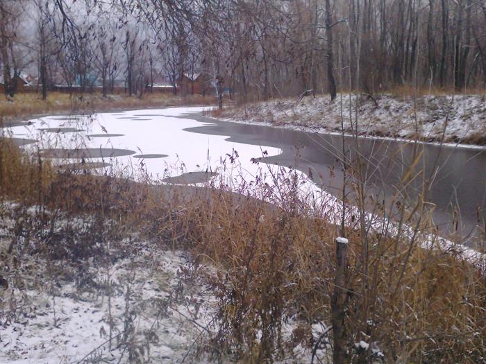 закрывались по утке