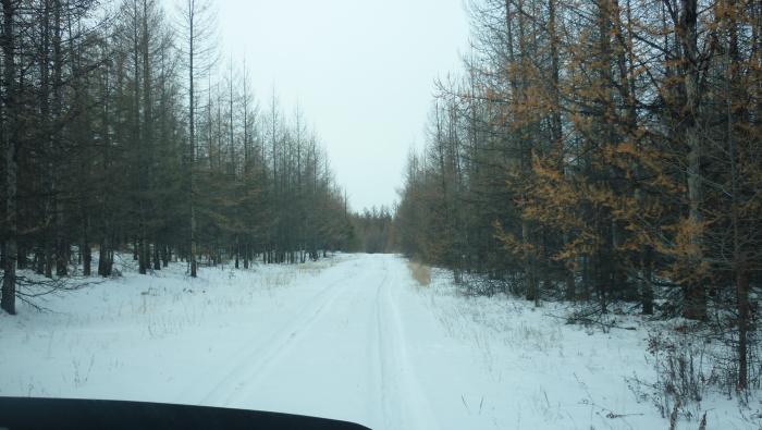 дорога на север, к Лёхе