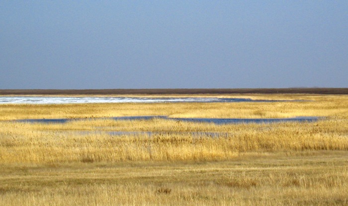 Весна. Завтра открытие.